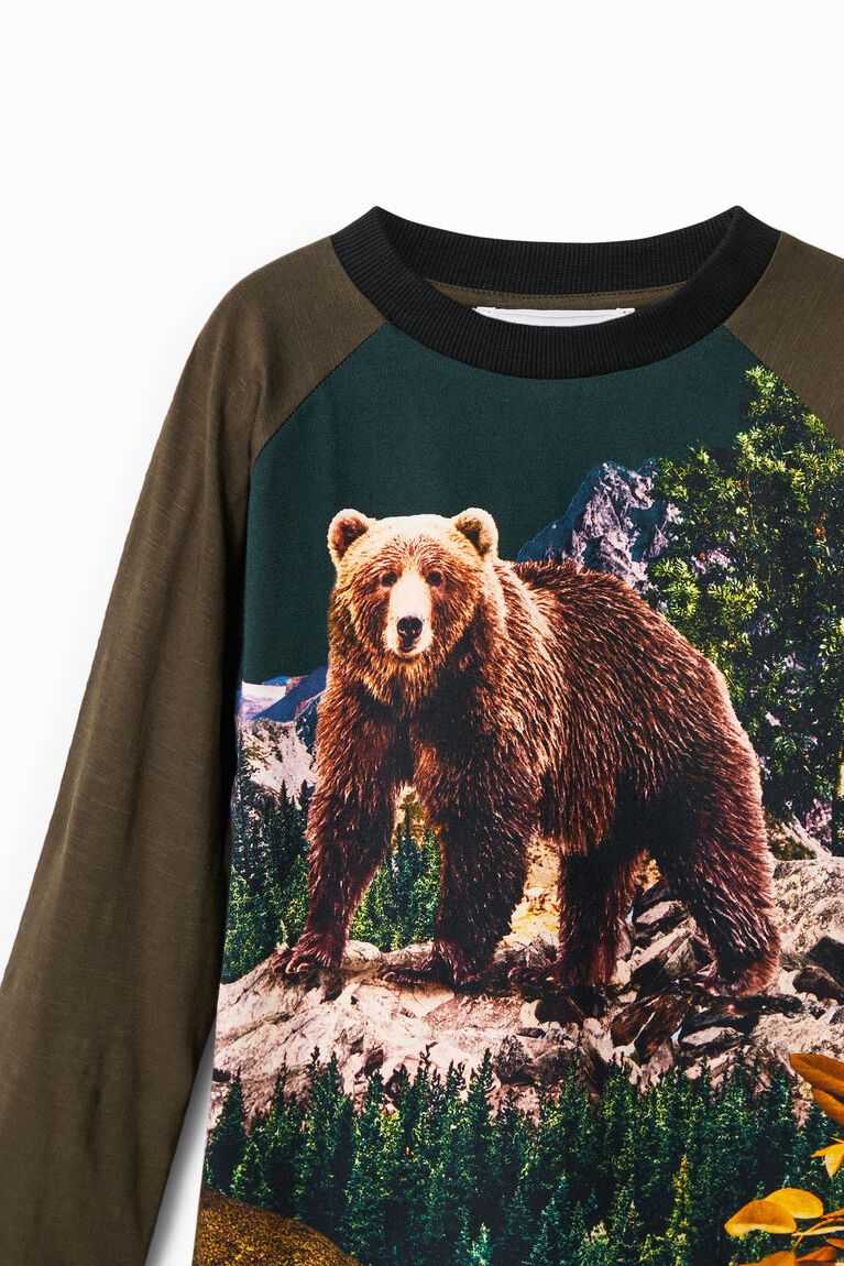 Desigual Long-sleeve bear Tişört Erkek Çocuk | 539180-NWV